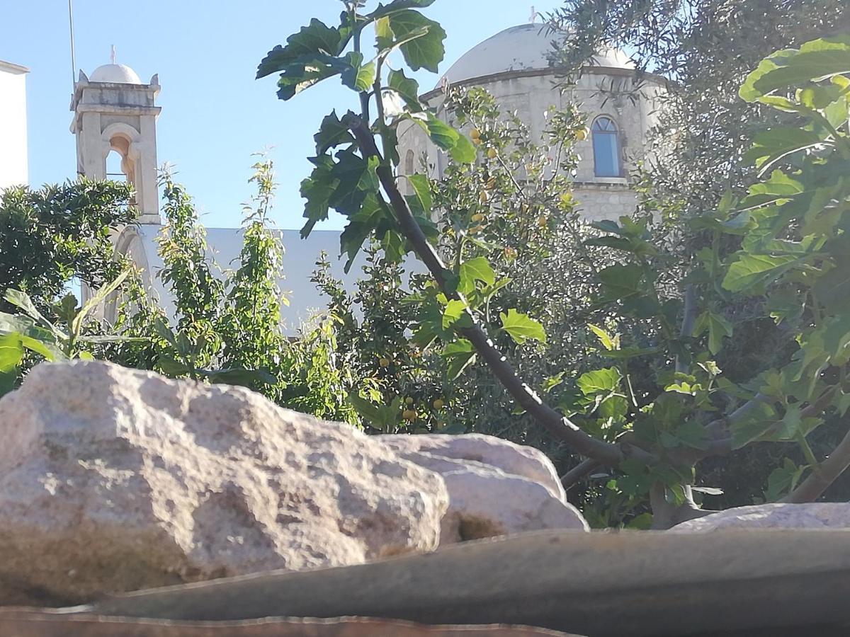 Kaizer Agrotourism Pensionat Amargeti Exteriör bild