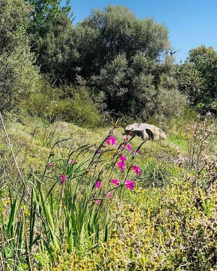 Kaizer Agrotourism Pensionat Amargeti Exteriör bild